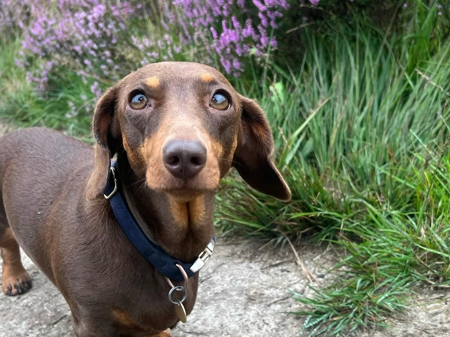 D1E21FF8 74EA 431A 86E8 D6965220A36F